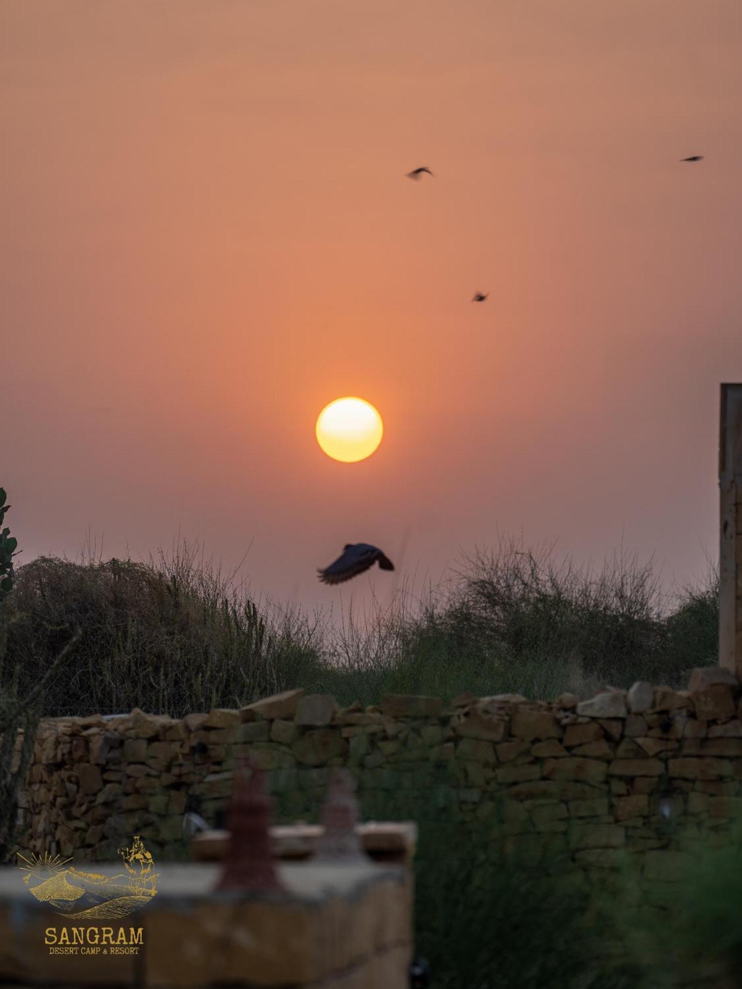 Sangram Desert camp Jaisalmer Bagian luar foto