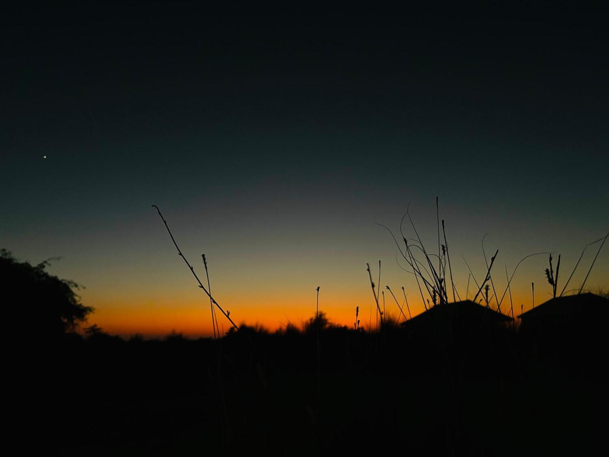 Sangram Desert camp Jaisalmer Bagian luar foto